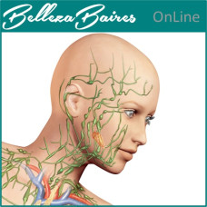 Curso Online de Drenaje Linfático Facial y Reflexología Avanzada