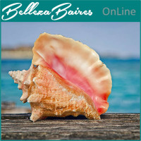 Curso Online de Sanación y Protección con la Concha Majestuosa