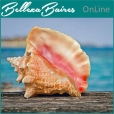 Curso Online de Sanación y Protección con la Concha Majestuosa