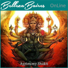 Sintonización Agrimony Shakti Online: Nivel 1, 2 y Maestría