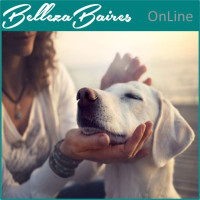 Reiki Animal Ascensión Online: Nivel 1 y Maestría (Requisito: Reiki Usui Nivel 2)