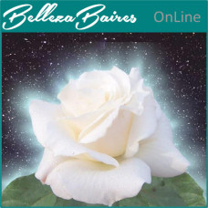 Curso Online de Sanación Floral con Rosas: Energía y Bienestar