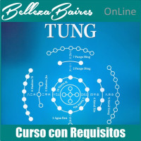 Master en Auriculoterapia Tung: Especialización Avanzada en Estética y Bienestar Master en Auriculoterapia Tung: Especialización Avanzada en Estética y Bienestar