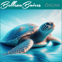 Empoderamiento de la Tortuga: Curso Online de Fortaleza Interior y Equilibrio Energético