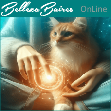 Curso Online de Reiki Felino Kattuz: Despierta la Energía Sanadora de tu Gato