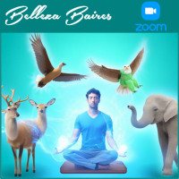 Descubre tu Animal de Poder: Curso Online en Vivo (Nivel 1)